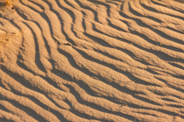 Texture Sand Dune in Desert