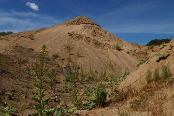 Desert landscape among sand pits in Sychevo, Moscow region