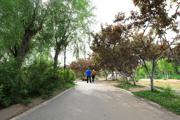 Two old people are walking in the park, North China