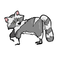 Racoon Friendly Cute forest animal Cartoon. Vector illustration.