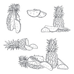Pineapple. Vector  illustration