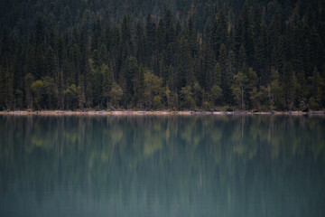 reflection of trees in the lake Canada