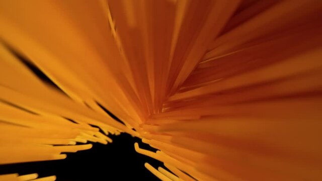 Super slow motion of falling uncooked italian pasta Spaghetti on black background. Filmed on high speed cinema camera, 1000 fps.