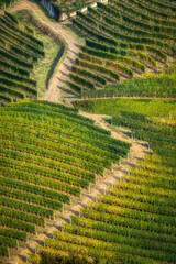 The Langhe - is a UNESCO World Heritage Site.