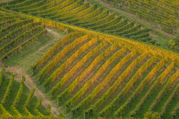 The Langhe - is a UNESCO World Heritage Site.