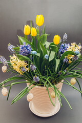 Easter decor of spring flowers. Yellow tulips, hyacinths, blue muscari grow in pot on grey background. Holiday