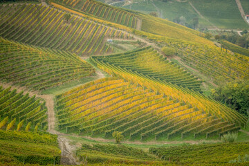 The Langhe - is a UNESCO World Heritage Site.