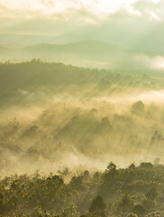 mountain layers covered with white mist and orange sun rays at dawn