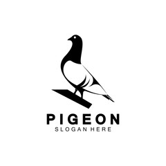 Pigeon bird logo vector icon illustration design template