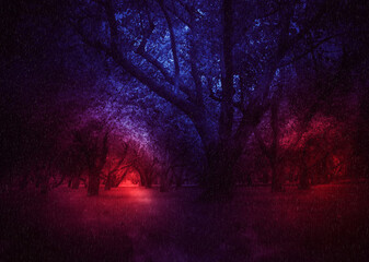 Rainy night orchard