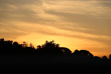 Fototapeta na wymiar silhouettes of trees against orange sky at down