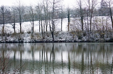 Fototapeta premium Reflet d'arbres enneigés dans un étang