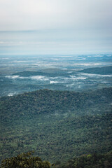 mountain coverd with white mists and dense forests
