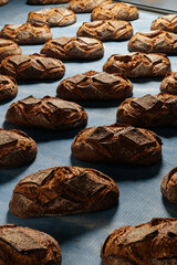 bread in the bakery. freshly baked bread rolls