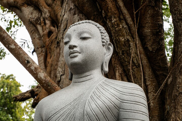 Kamienny posąg statua Buddy na tle drzewa w buddyjskiej świątyni. - obrazy, fototapety, plakaty