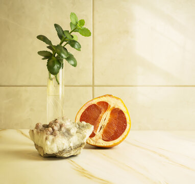 Spa bath still life with mineral stone, half a grapefruit and a sprig of kalanchoe in a transparent jar against the background of a wall of marble tiles. Eco friendly bathroom with natural elements
