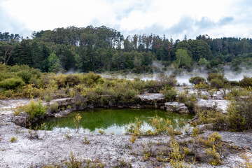 Fototapeta na wymiar Source chaude de Whakarewarewa, Nouvelle Zélande