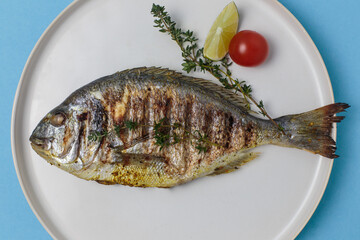 Grilled dorado with thyme, tomato, lemon and spices in a white plate on a blue background