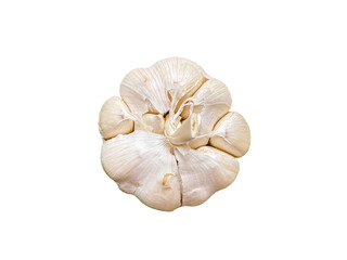 garlic isolated on white