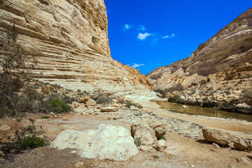 Fototapeta premium The canyon Ein Avdat