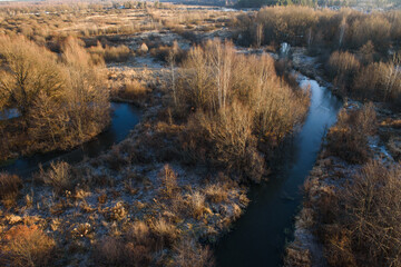 autumn in the forest
