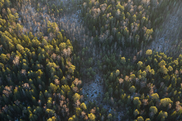 coral reef in aquarium