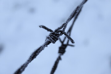 A corroded barbed wire on which frost had caught. Snow in the background. Frost on barbed wire.