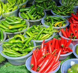 Red hot and green chili peppers, chilli peppers at the market 