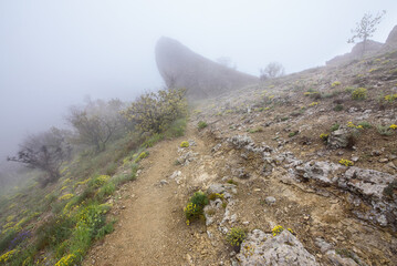 path in the mountains