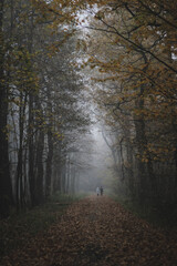 Fototapeta na wymiar Couple on a walk through misty forest