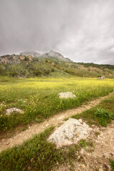 path in the mountains