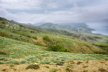 landscape in the summer