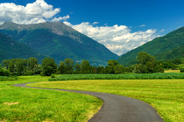 Summer landscape along the Sentiero della Valtellina, cycleway