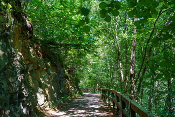Sentiero della Valtellina, Italy, cycleway in the forest
