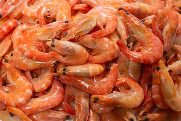 Shrimps background texture. A lot of shrimps. Cooked shrimps.