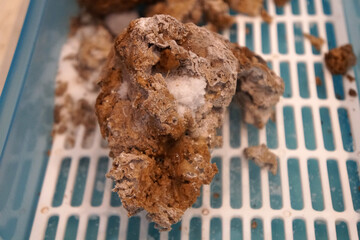 Artificial comet cube on Plastic Tray. Demonstration comet.