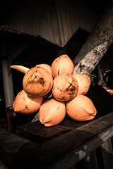 Owoce króla kokosów, pomarańczowy kokos. - obrazy, fototapety, plakaty