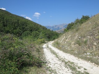 Fototapeta na wymiar Mountain Path in Summer in Italy