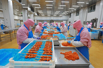 Workers are busy in the chicken segmentation workshop in a food processing plant