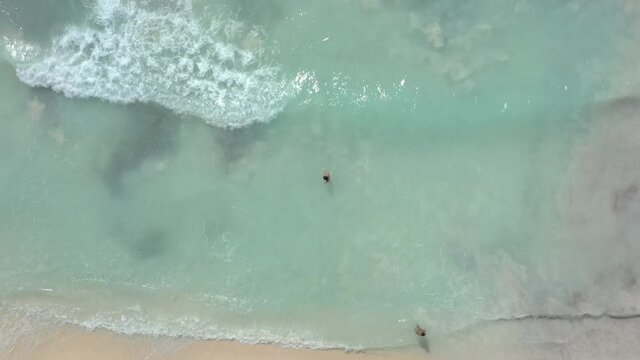 A woman in water on a bright beach in Saona Dominican republic holiday from above