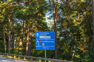 Fototapeta premium Close up view of blue road sign way pointer on forest trees background . Transportation concept. 