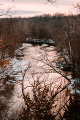 sunset in the forest