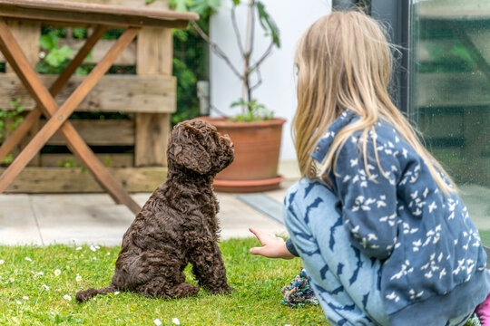 Kleiner Welpe neben jungem M&auml;dchen - Beginn einer Freundschaft