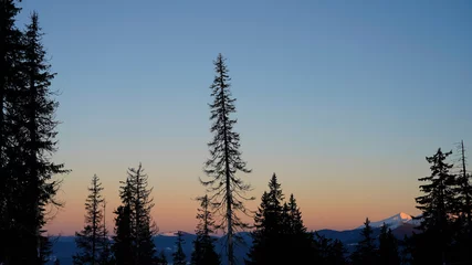 Cercles muraux Forêt dans le brouillard Sunset in the winter forest snow-capped mountains on the background of the silhouette of fir trees soft light