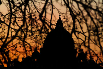 Fototapeta premium Backlight profile at sunset through the branches of a tree of St. Peter's Basilica in Rome
