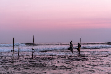 Naklejka premium Lokalni tradycyjni rybacy wędkarze na palach w oceanie na tle zachodzącego słońca.