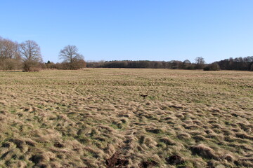 Hiking in the moor in northern Germany