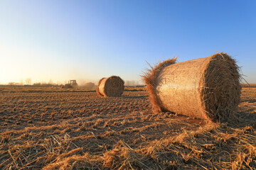 farmers use agricultural machinery to compress rice straw and bundle them on a farm, LUANNAN COUNTY, Hebei Province, China