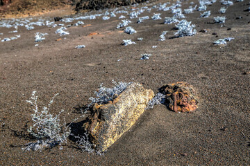 Scenery along the wooden pathways and trails on Bartolome Island in the Galapagos