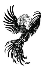 Rooster, black and white vector image. Cocks fighting. Rooster, cockfight, attack, fighter, black and white, game-cock